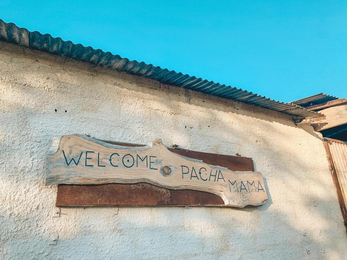 Be A Guest At Pachamama Community Daire Alcácer do Sal Dış mekan fotoğraf